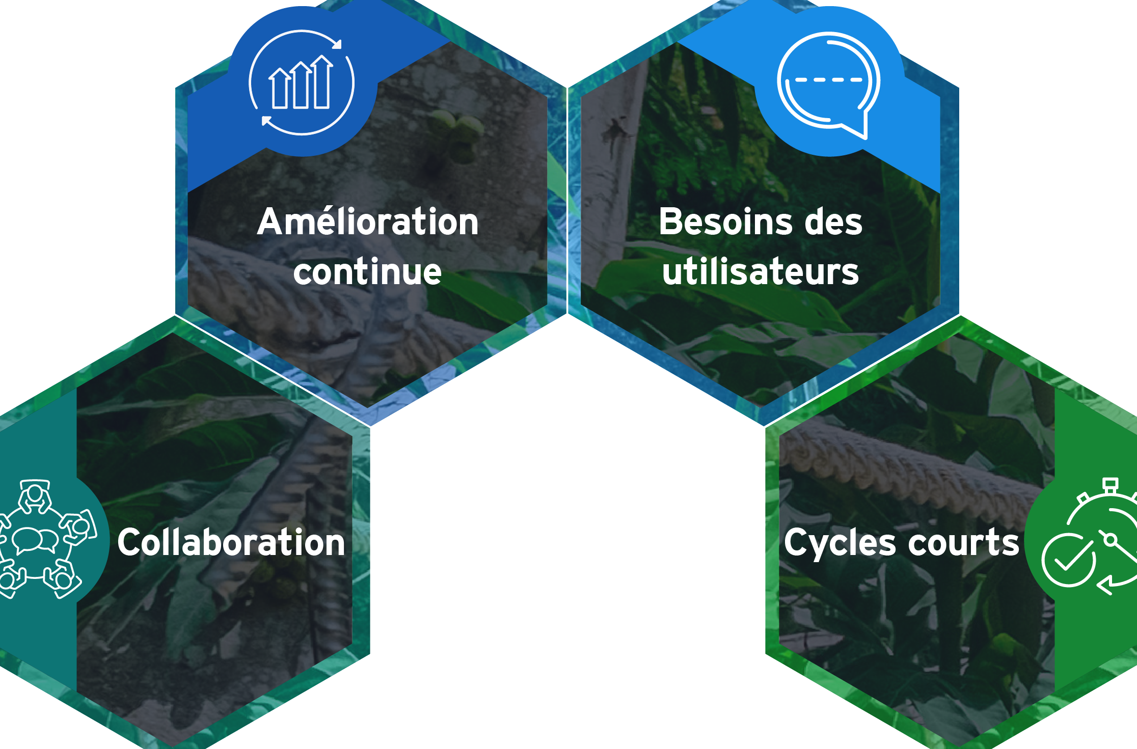 Comment améliorer son agilité organisationnelle en entreprise ?